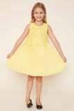 G5241 Lemon Girls Crochet Pleated Dress Full Body