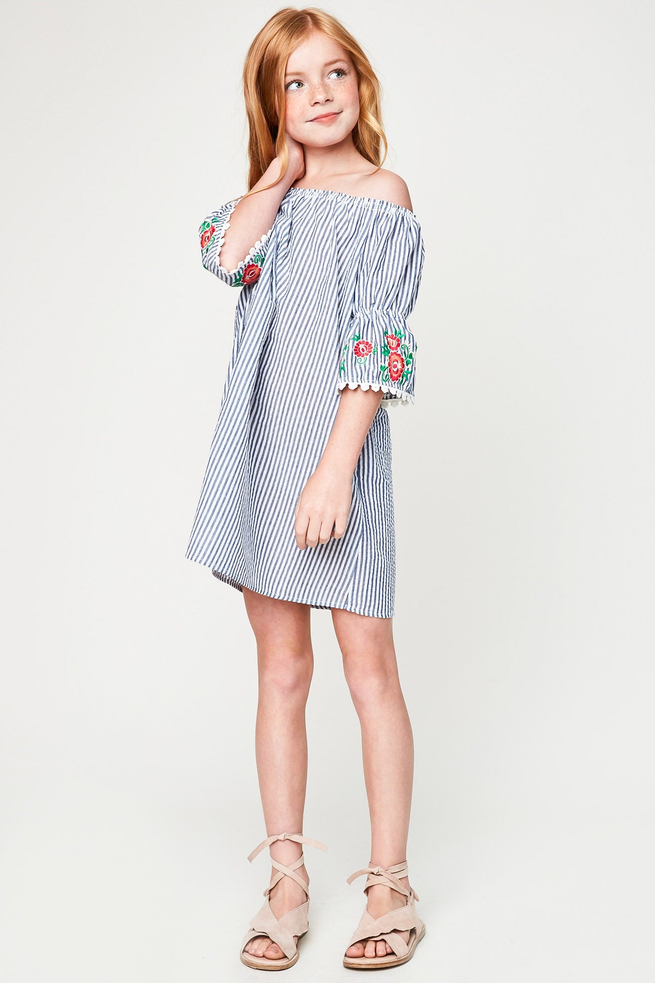 G5326 DENIM Floral Embroidered Stripe Dress Alternate Angle