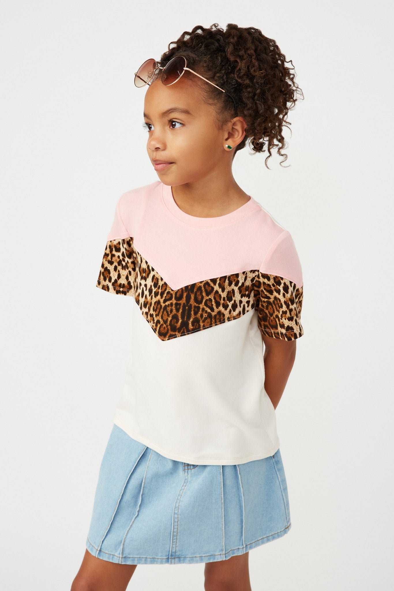 Smithsonian Chevron Cheetah Panel Top