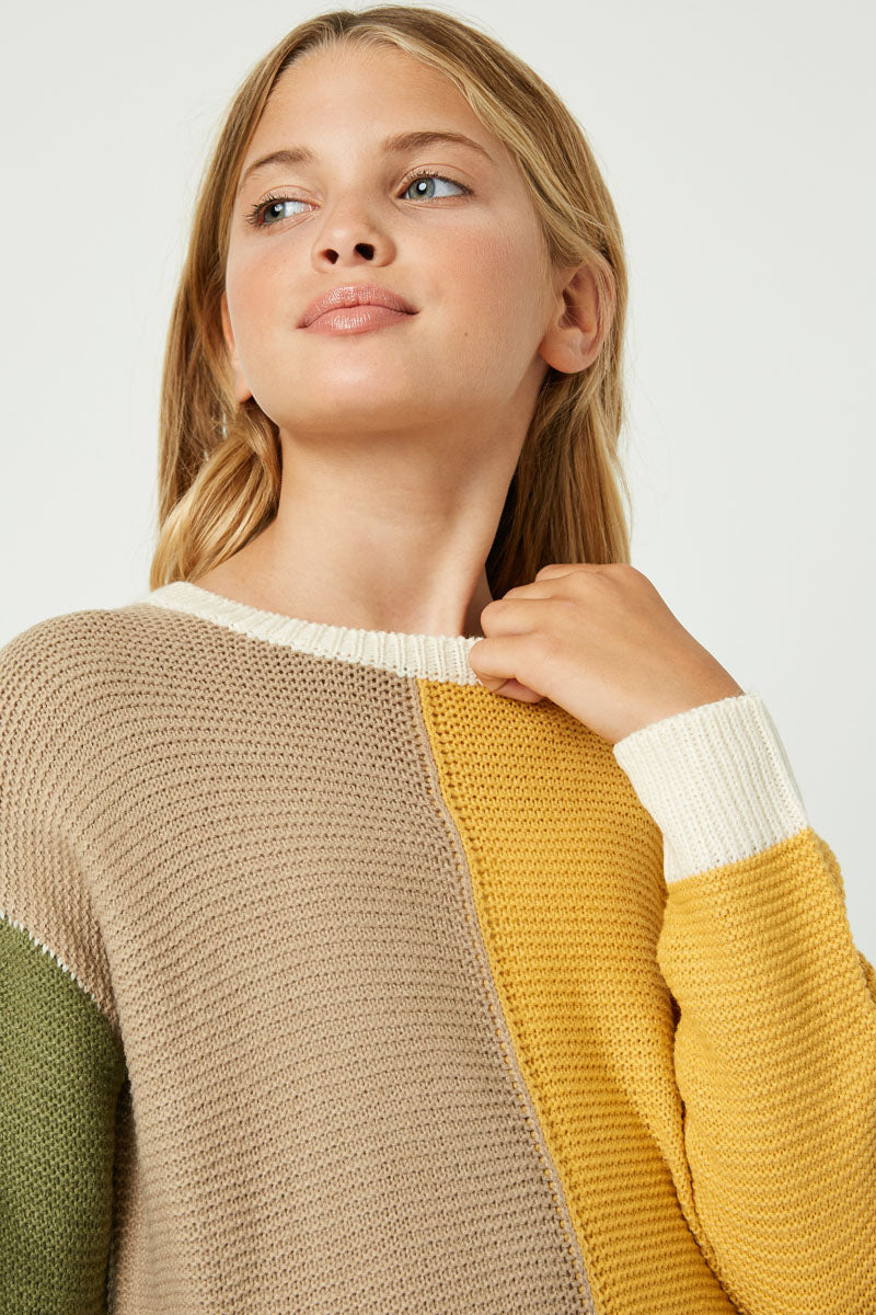 Colorblock Paneled Sweater