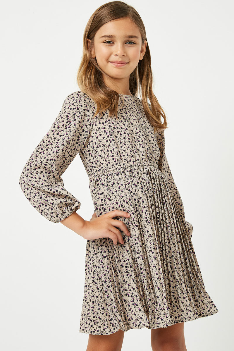 Printed Pleated Skirt Mini Dress