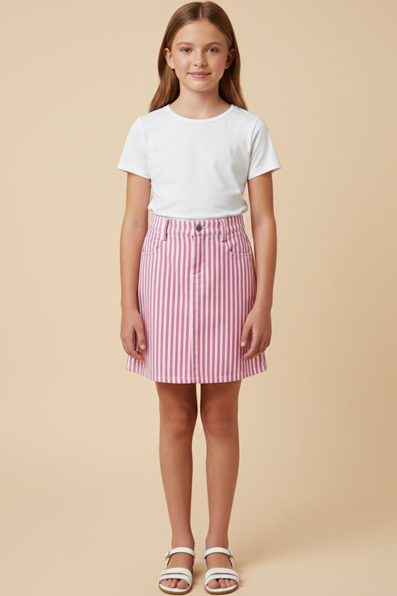 Pinstripe Denim Skirt