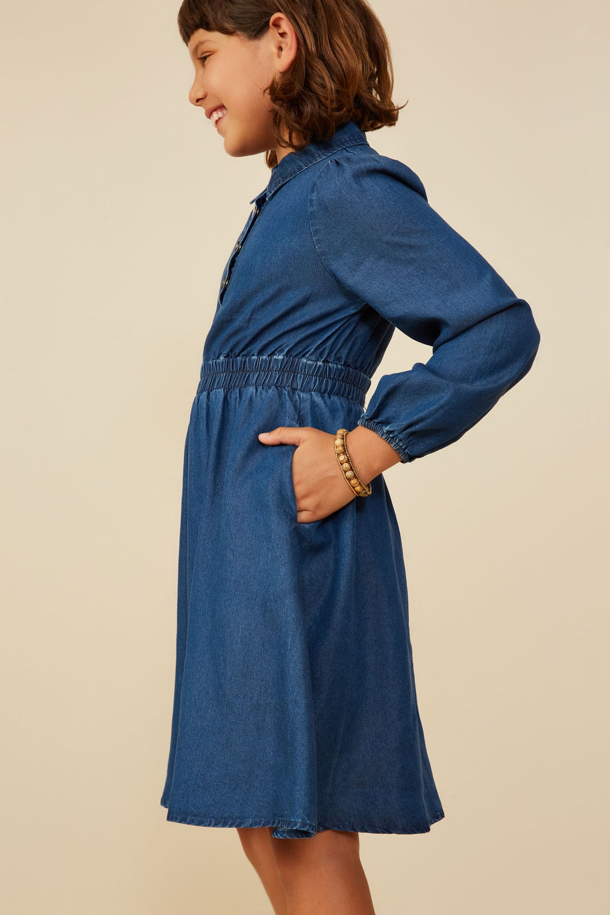 Chambray Collared Long Sleeve Dress