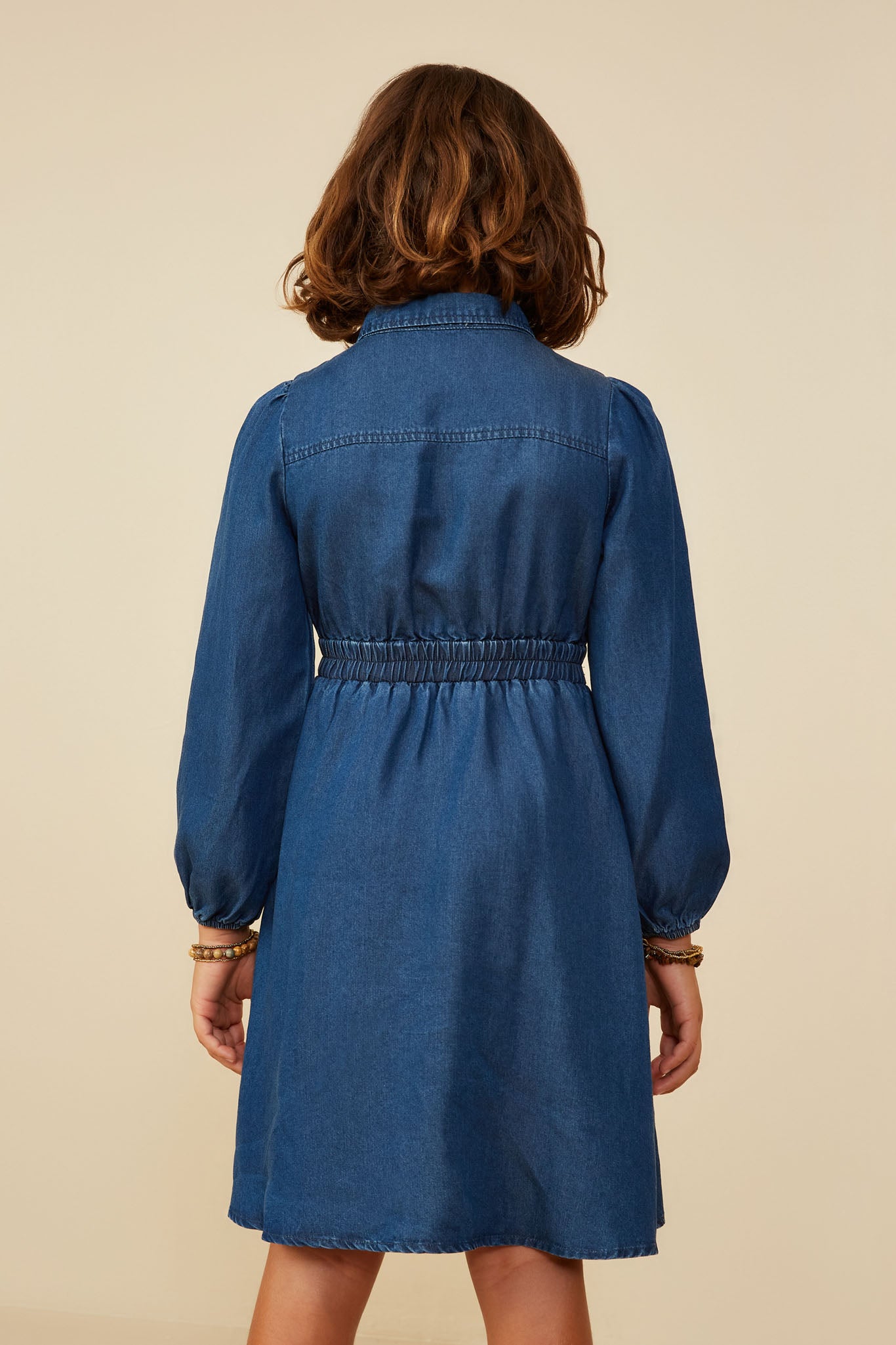 Chambray Collared Long Sleeve Dress Chambray Collared Long Sleeve Dress