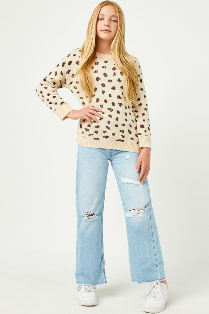 Leopard Print Pullover Sweater Top