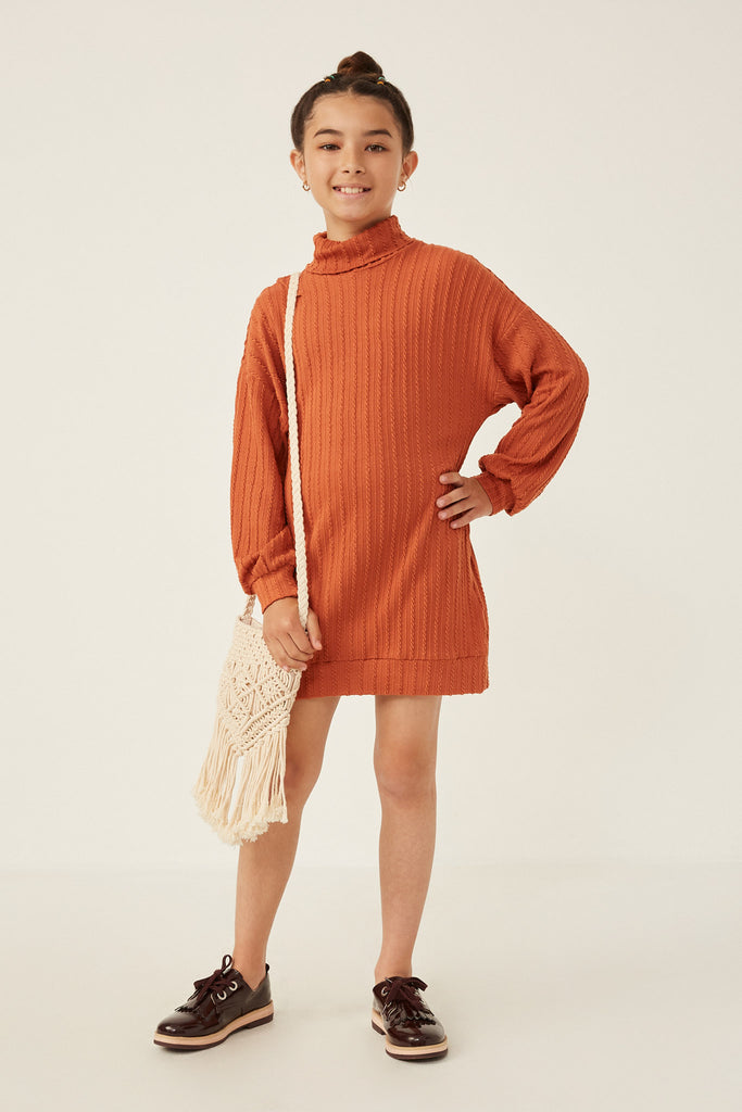 Cable Knit Turtle Neck Tunic